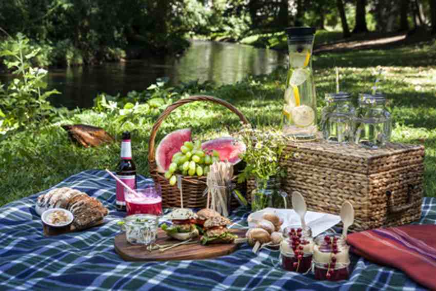 Picknickdecke mit Speisen und Getränken im Park. In unmittelbarer Umgebung des Neubauprojektes Beau Pankow gibt es zahlreiche Parks.